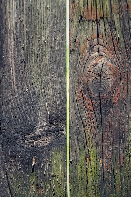 Fondo de textura de madera con nudos viejos filtrados coloridos con agujero