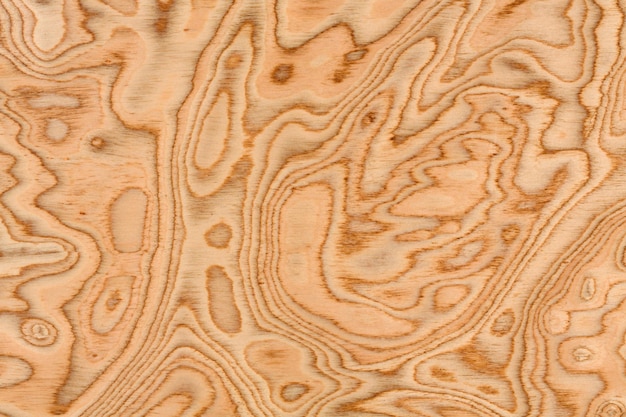 Fondo de textura de madera de olivo