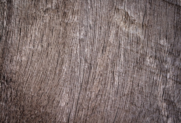 Fondo de textura de madera paneles antiguos