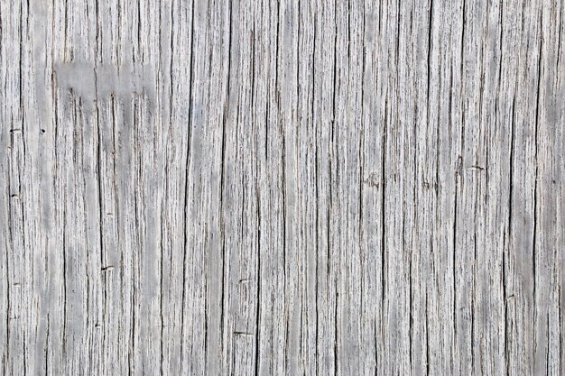 Foto fondo de textura de madera paneles viejos