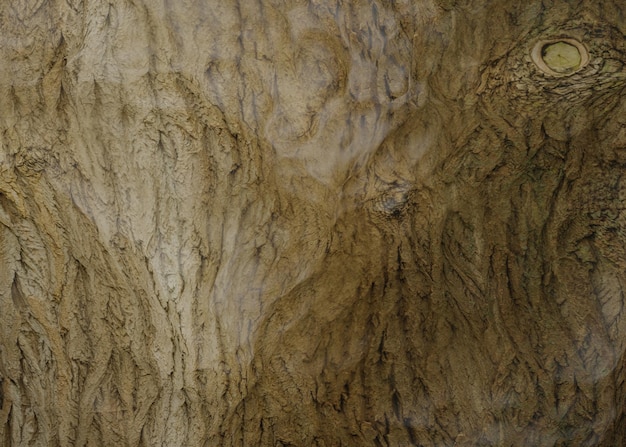 Fondo de textura de madera de pared