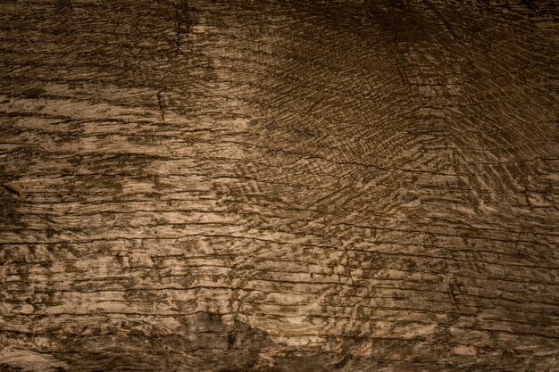 Fondo de textura de madera. Textura de árbol viejo oscuro