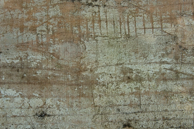 Fondo con textura de madera del tronco del árbol.