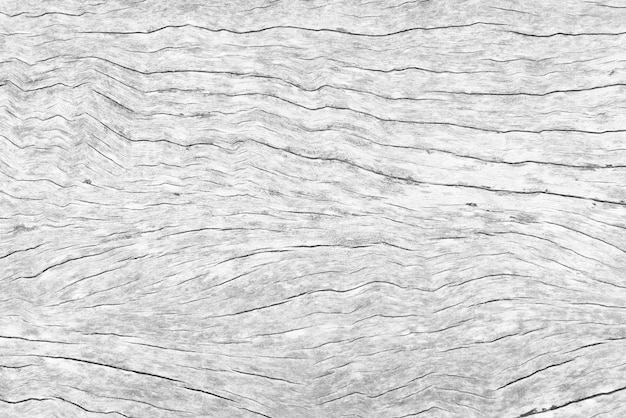 Fondo de textura de madera vieja grieta tono blanco grisáceo Use esto para fondo de pantalla o fondo
