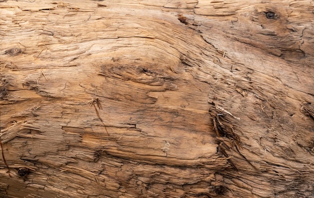 Fondo y textura de madera vieja