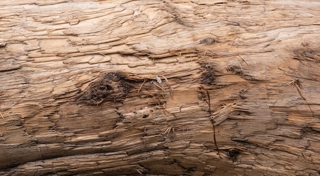 Fondo y textura de madera vieja