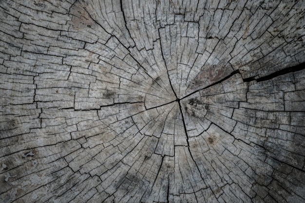 Fondo de textura de madera