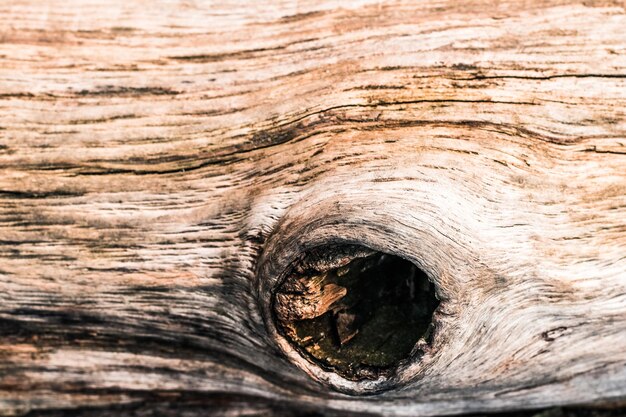 Fondo con textura de madera