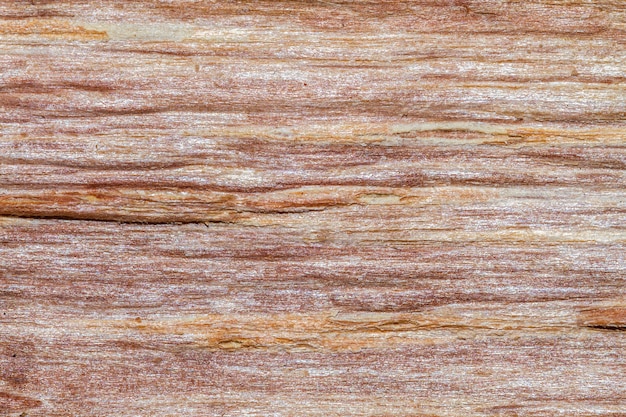 Fondo de textura de madera