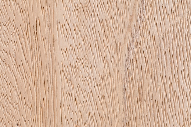 Fondo de textura de madera