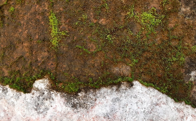 Fondo de textura de musgo de pared rota abstracta Textura de hormigón blanco de grunge antiguo