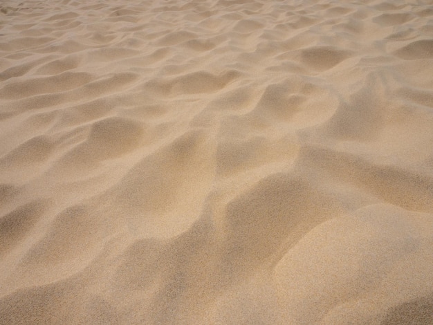 Fondo de textura natural de arena fina y clara de playa y dunas