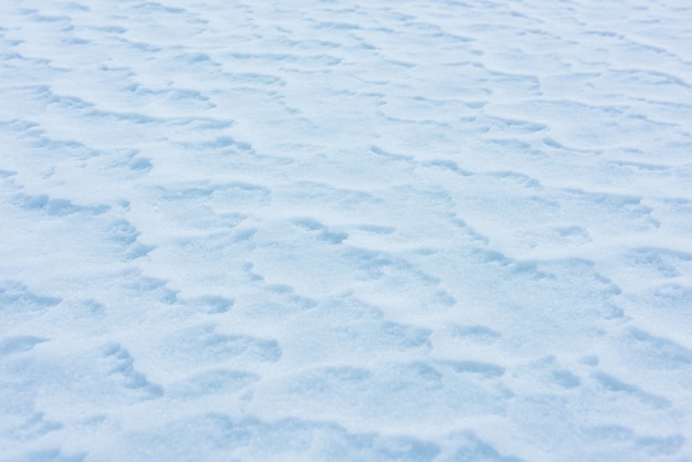 Fondo de textura de nieve