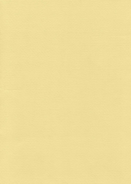 Fondo de textura de papel beige con patrón. Fondo de papel muy detallado.