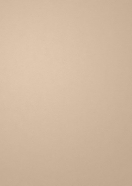 Foto fondo de textura de papel beige