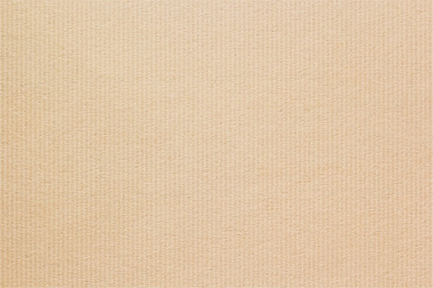 Fondo de textura de papel cartón marrón