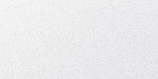 Fondo de textura de papel fuera del diseño blanco
