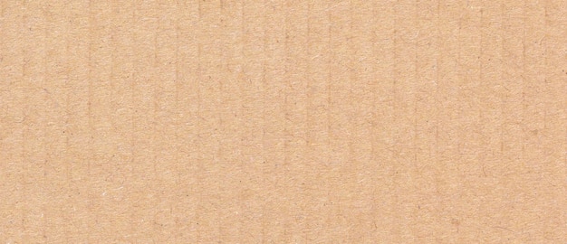 Fondo de textura de papel marrón Textura de papel kraft beige