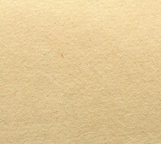 Fondo de textura de papel marrón