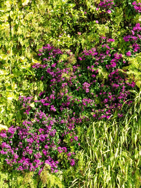 Fondo de textura de pared de hojas y flores verdes