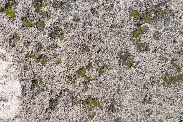 Fondo de textura de piedra desgastada al aire libre con parches de musgo