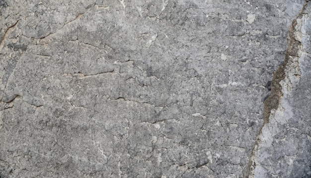 Foto fondo de textura de piedra gris