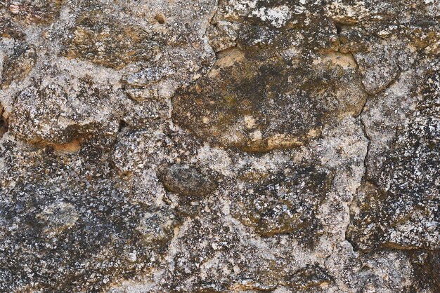 Fondo de textura de piedra en la pared antigua con musgo