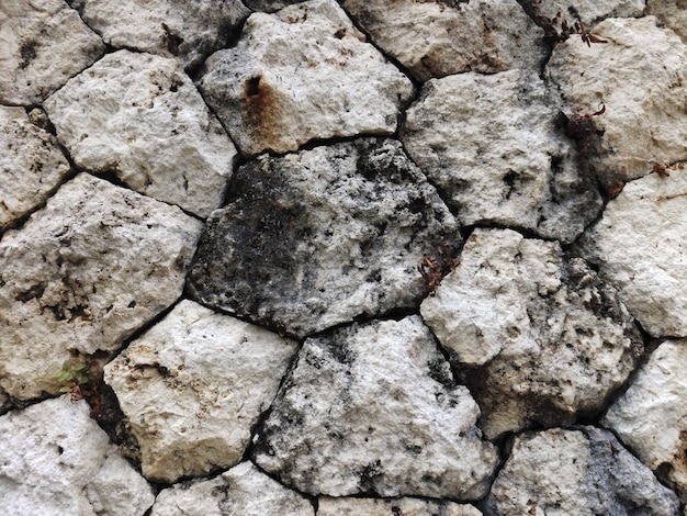 Fondo de textura de piedra de piso y pared