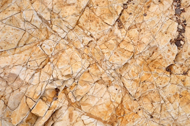 Fondo de textura, piedra. Textura de roca marrón, primer plano de imágenes en un parque geológico. Textura de roca, primer plano de la foto.