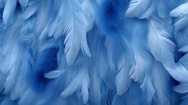 Fondo de textura de plumas azules