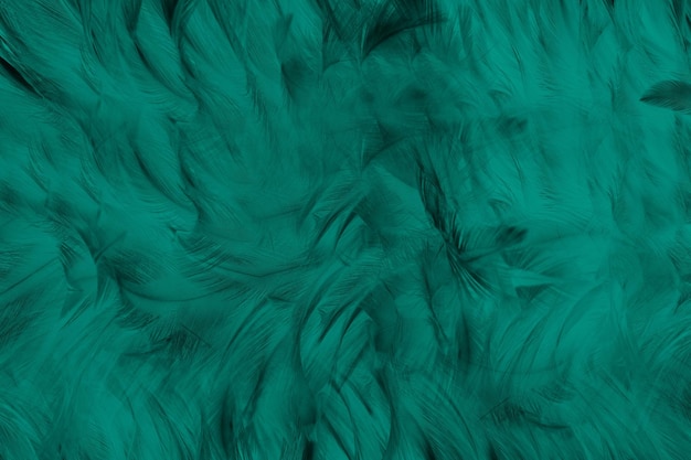 Fondo de textura de plumas verdes