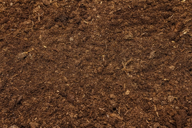 Fondo de textura de suelo para jardinería concepto. Tierra cultivada, superficie ambiental.