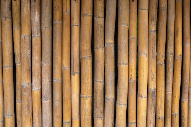Foto fondo de textura de tabla de bambú amarillo