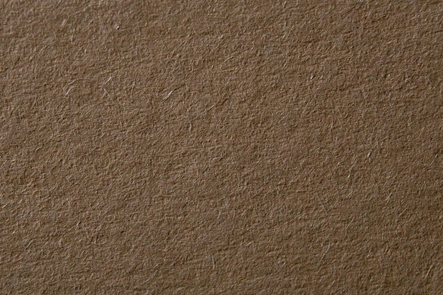 Fondo de textura de terciopelo esponjoso de color beige Tejido de veludo beige