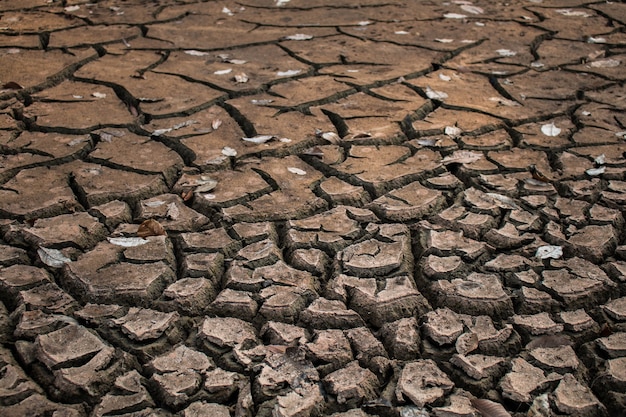 Foto fondo de textura de tierra grieta.