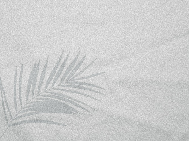 Fondo texturizado blanco con sombra de hojas