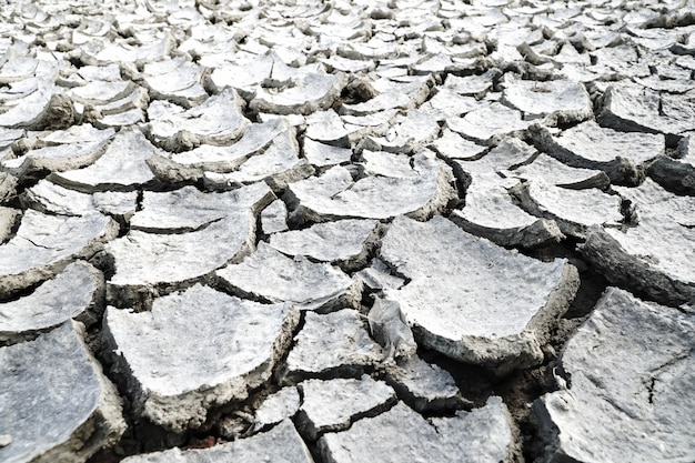 Fondo de tierra agrietada