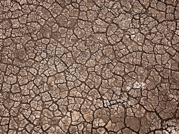 Foto fondo de tierra agrietada