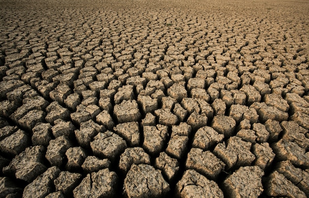 Fondo de tierra seca y agrietada del suelo