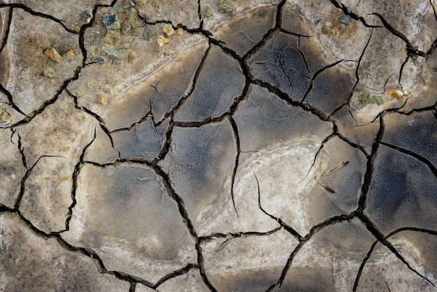 Fondo de tierra secado de la textura del suelo de la tierra agrietada. Patrón de mosaico de tierra seca soleada por lo