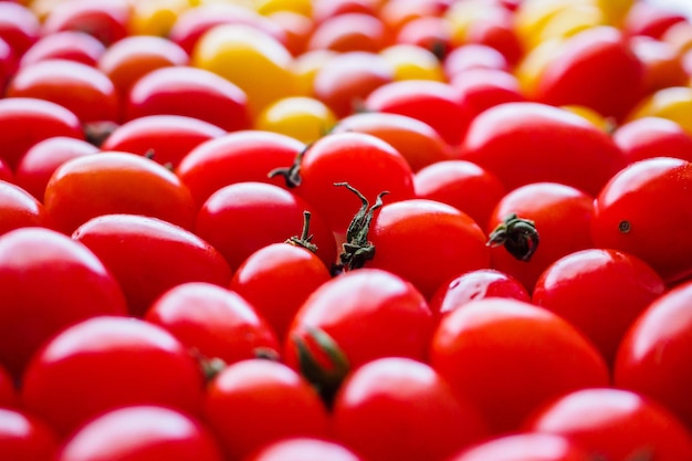 Fondo de tomate orgánico maduro rojo