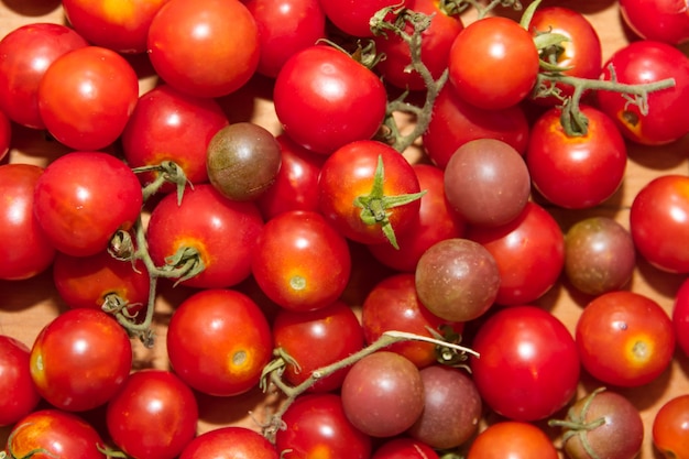 Fondo de tomates cherry