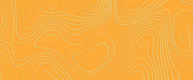 fondo topográfico y textura el mapa conceptual de una geografía condicional