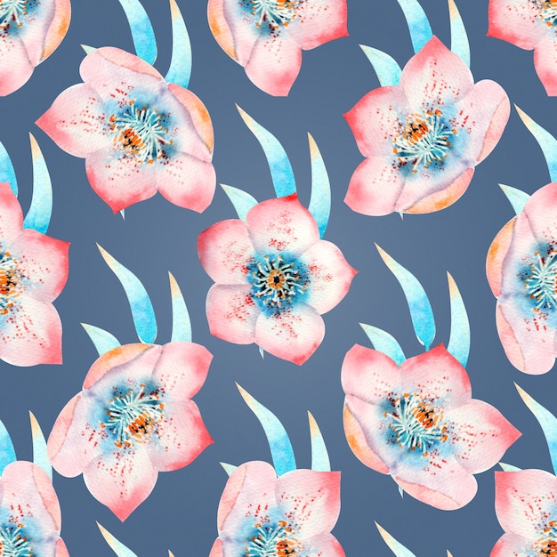 Fondo transparente con flores de eléboro rosa, brotes, hojas, ramas decorativas sobre un fondo azul. Ilustración acuarela, hecha a mano.