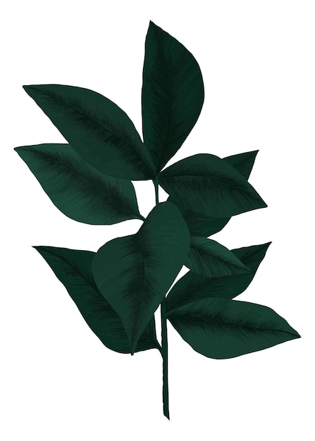 El fondo transparente de la pegatina png de la hoja