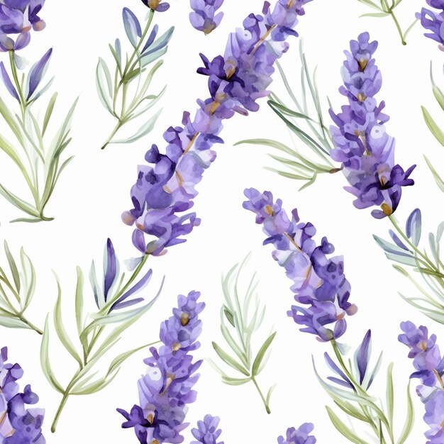 Fondo transparente de tierna acuarela lavanda sobre blanco