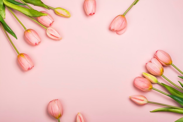 Fondo de tulipanes rosa