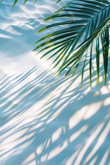 Fondo de vacaciones de verano con sombra de hoja de palma tropical en una playa de arena blanca