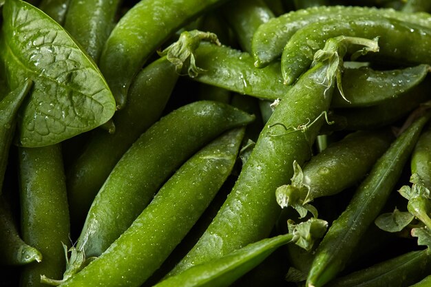 El fondo vegetal natural de primer plano verde con vainas de guisantes. hoja de espinaca. Concepto de comida de desintoxicación orgánica natural.