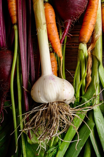 Fondo vegetariano de remolachas orgánicas frescas, ajo verde y zanahorias en la mesa rústica de madera de la cocina